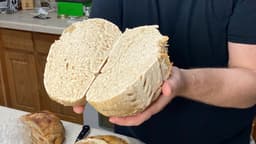 Classic Artisan 36% Whole Wheat Sourdough image 4